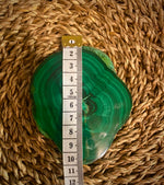 Malachite slice raw unique design perfect gift + FREE wood stand 230grams
