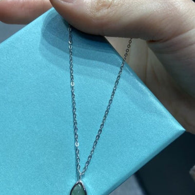 Elegant Green Aventurine Crystal Necklace Silver Chain 925 - Strength & Harmony/ Variant Red agate + Free luxury box